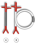 www.frontiersin.org