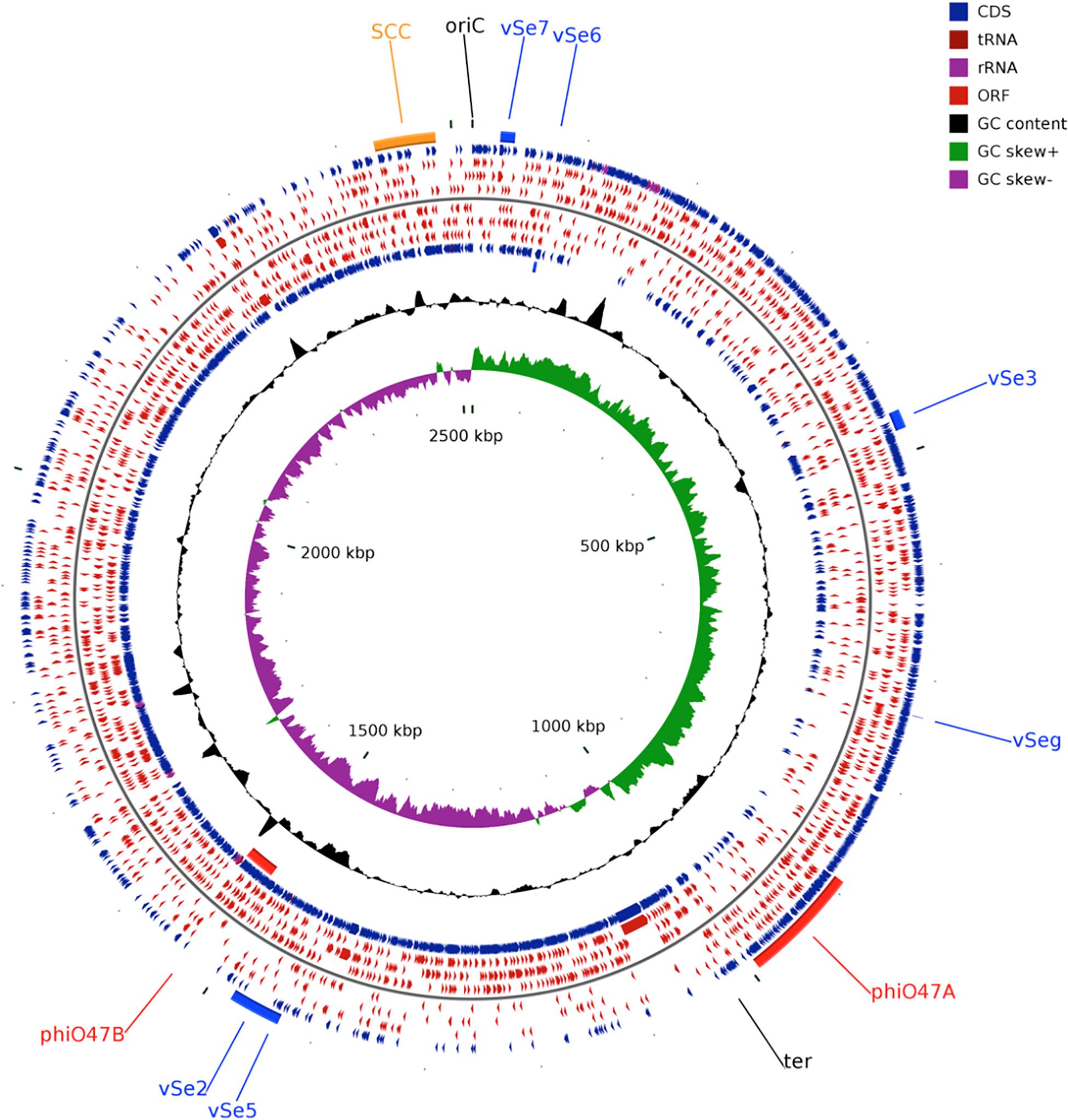 Staphylococcus epidermidis: Trends in Microbiology