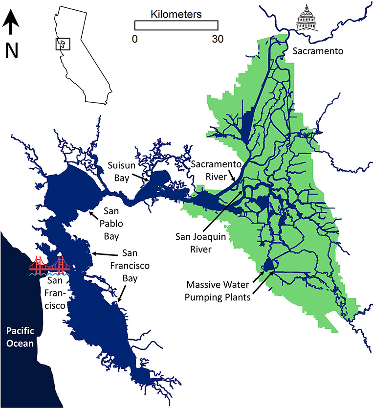 Figure 1 - The San Francisco Estuary.