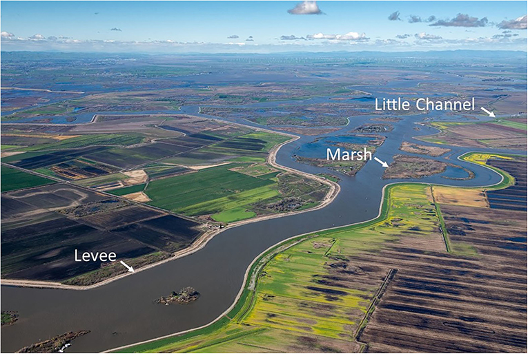 Figure 2 - The San Francisco Estuary today.
