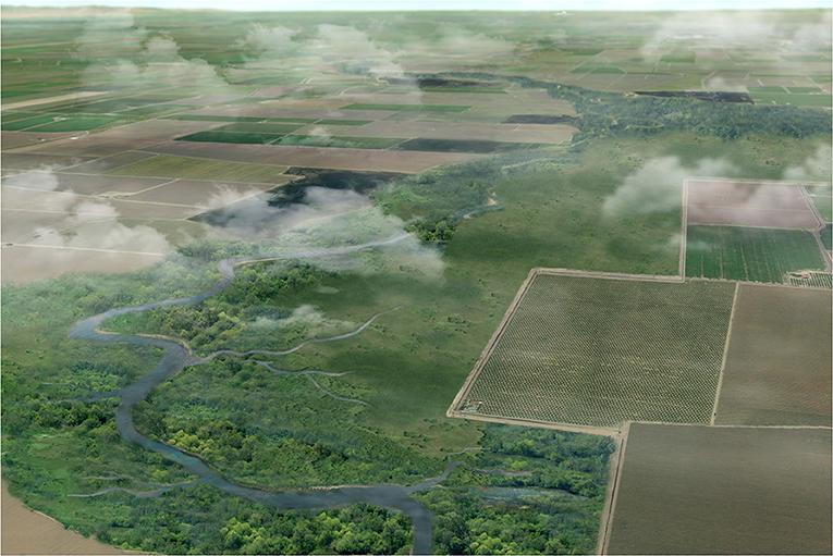 Figure 3 - A vision of the San Francisco Estuary in which nature-filled landscapes surround the rivers, offering space for fish and wildlife to thrive and for people to enjoy (Image credit: Yiping Lu, San Francisco Estuary Institute).