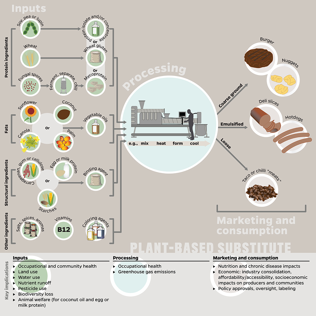Frontiers | Considering Plant-Based Meat Substitutes and Cell-Based Meats:  A Public Health and Food Systems Perspective