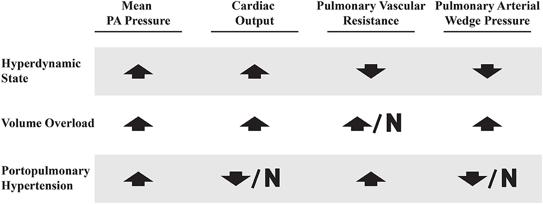 Portopulmonary hypertension discount