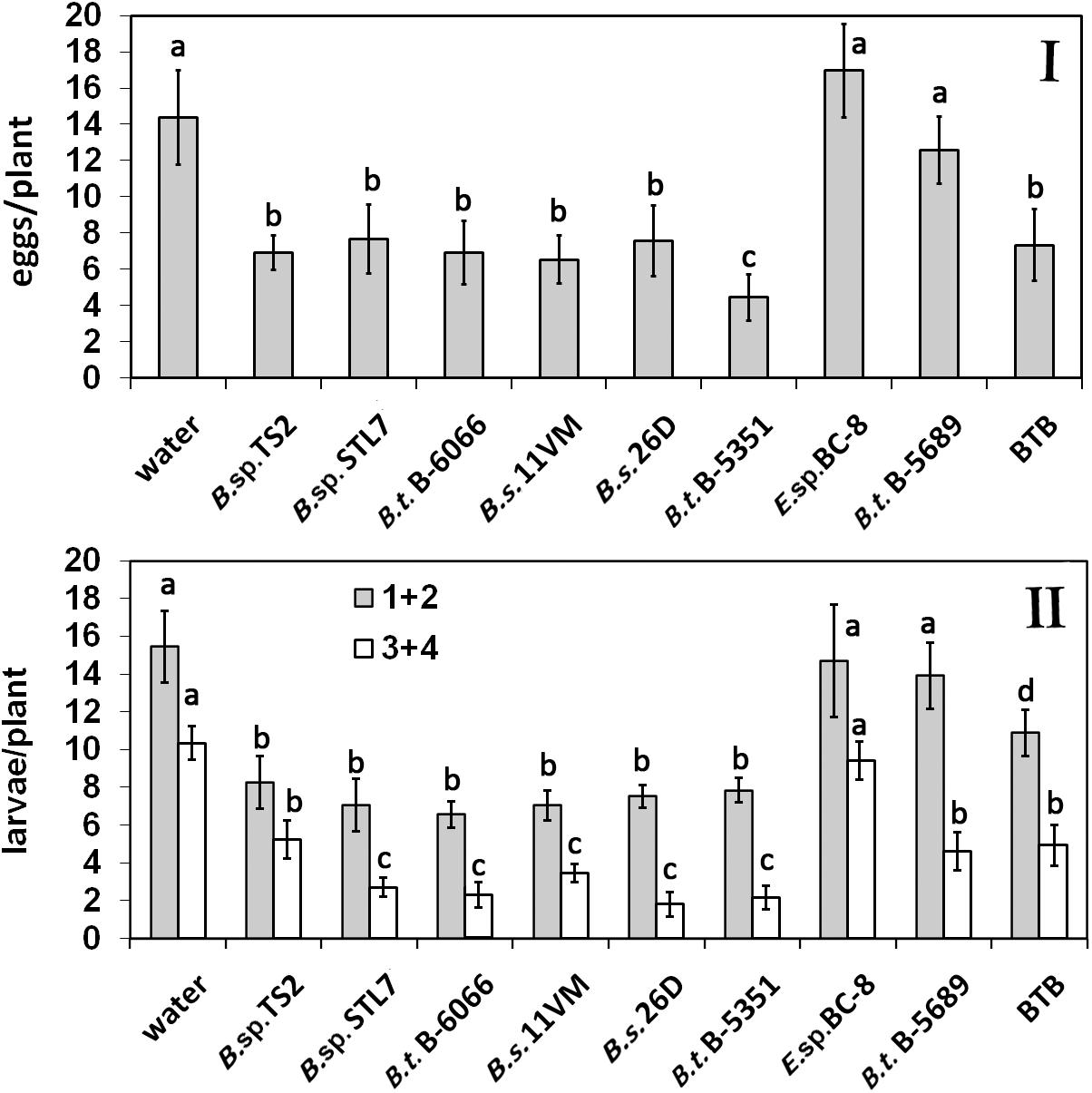 Frontiers Endophytic Bacillus Spp As A Prospective Biological Tool For Control Of Viral Diseases And Non Vector Leptinotarsa Decemlineata Say In Solanum Tuberosum L Microbiology