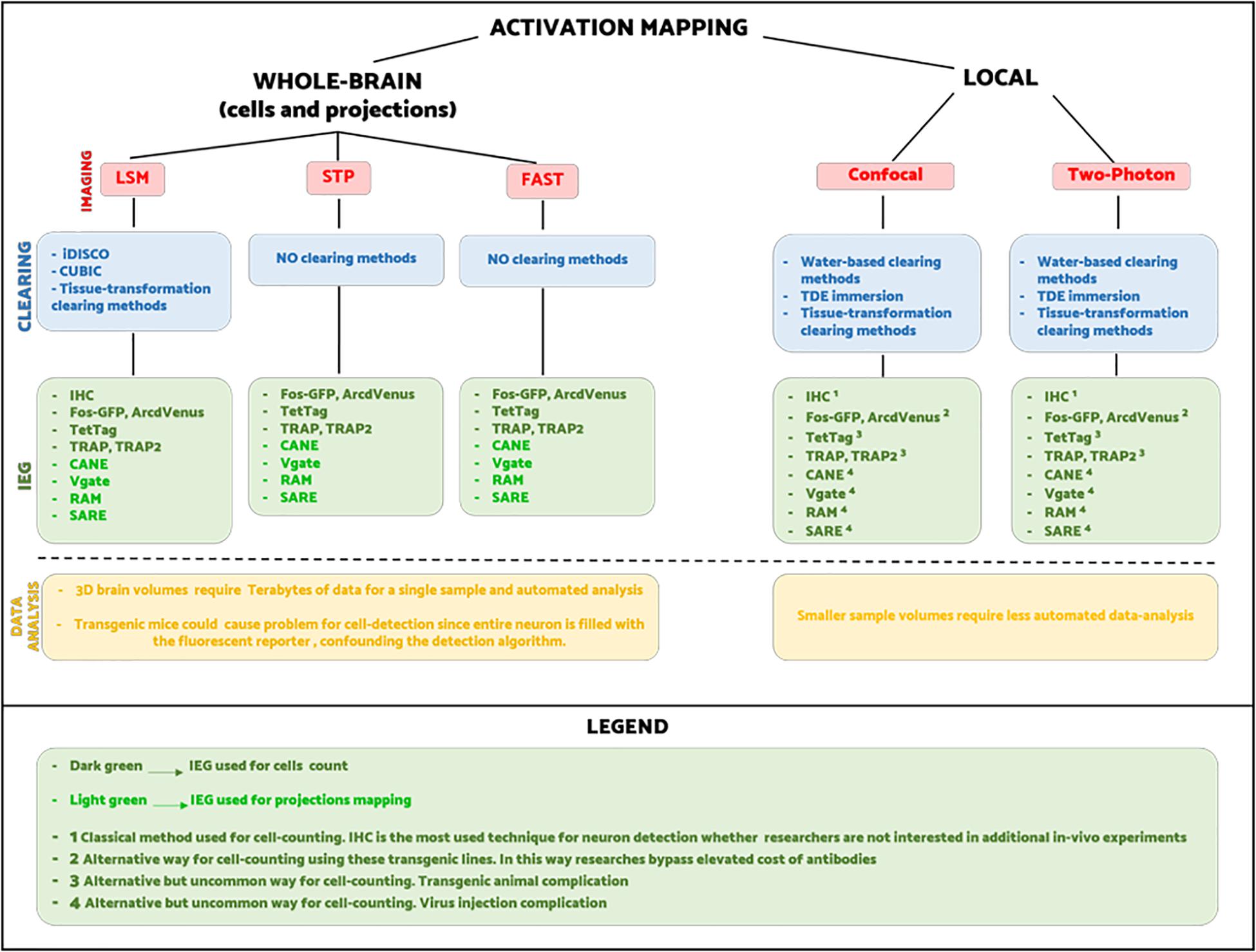 free full ionic activation bypass