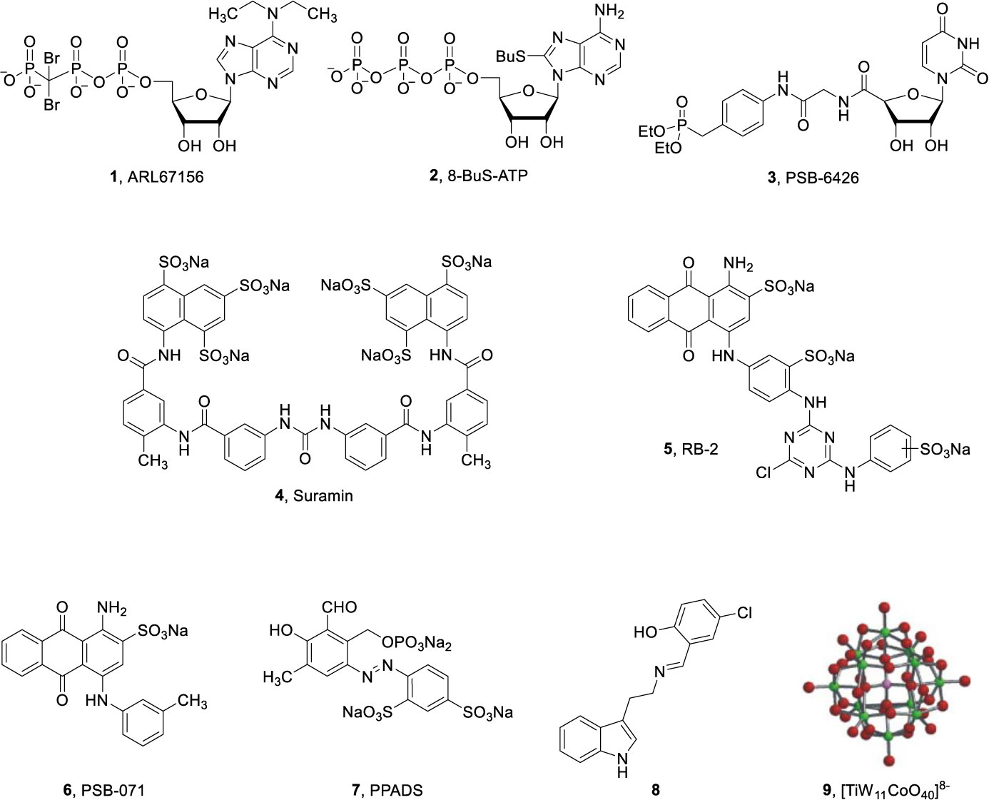 Frontiers Development Of Anthraquinone Derivatives As Ectonucleoside Triphosphate Diphosphohydrolase Ntpdase Inhibitors With Selectivity For Ntpdase2 And Ntpdase3 Pharmacology
