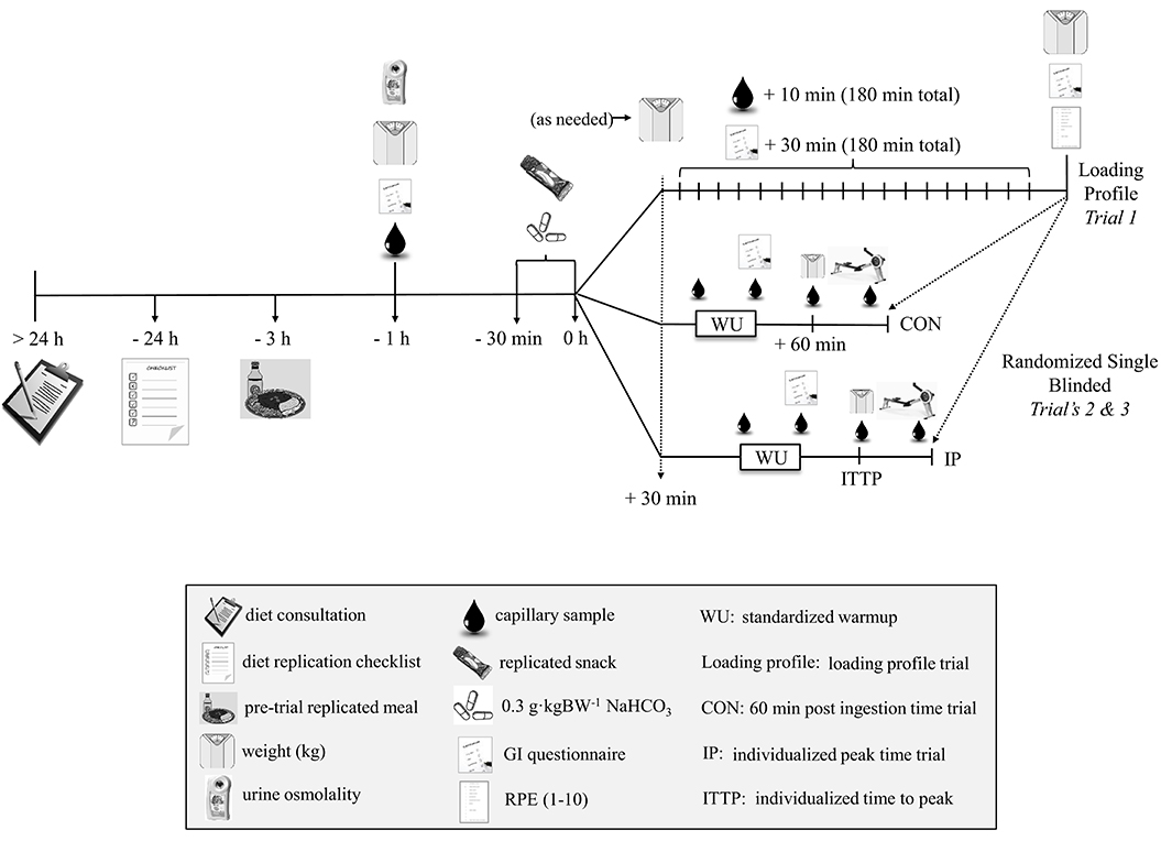 PDF) Sodium bicarbonate supplementation improves performance in