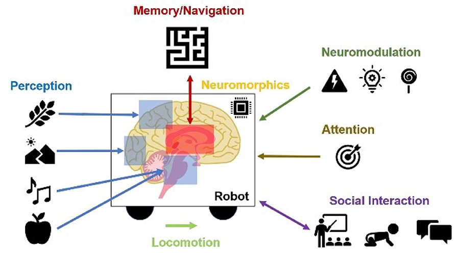 Silicon retinas to help robots navigate the world - Advanced Science News