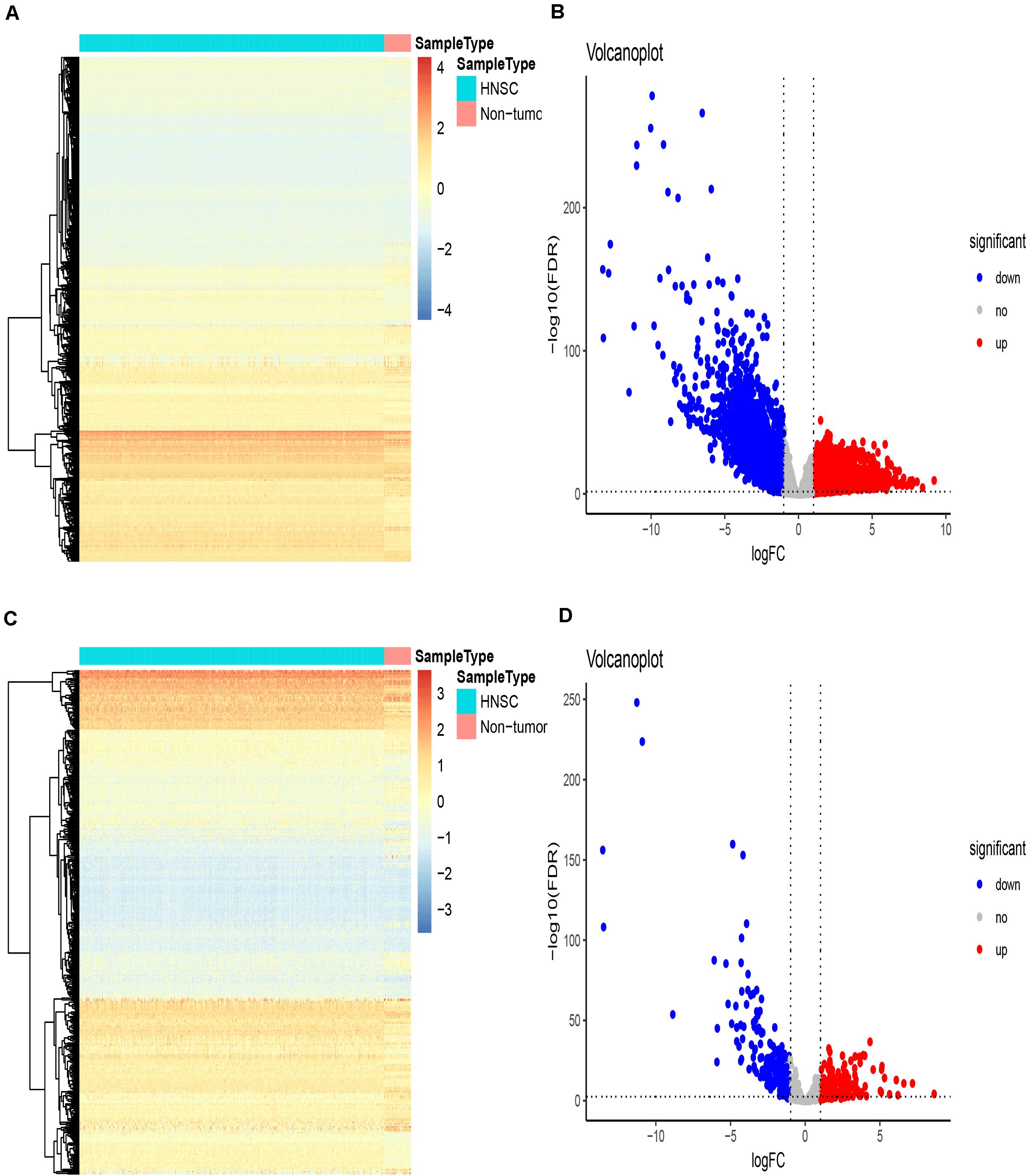 Frontiers | A Novel Immune-Related Prognostic Signature in Frontiers | A Novel Immune-Related Prognostic Signature in
