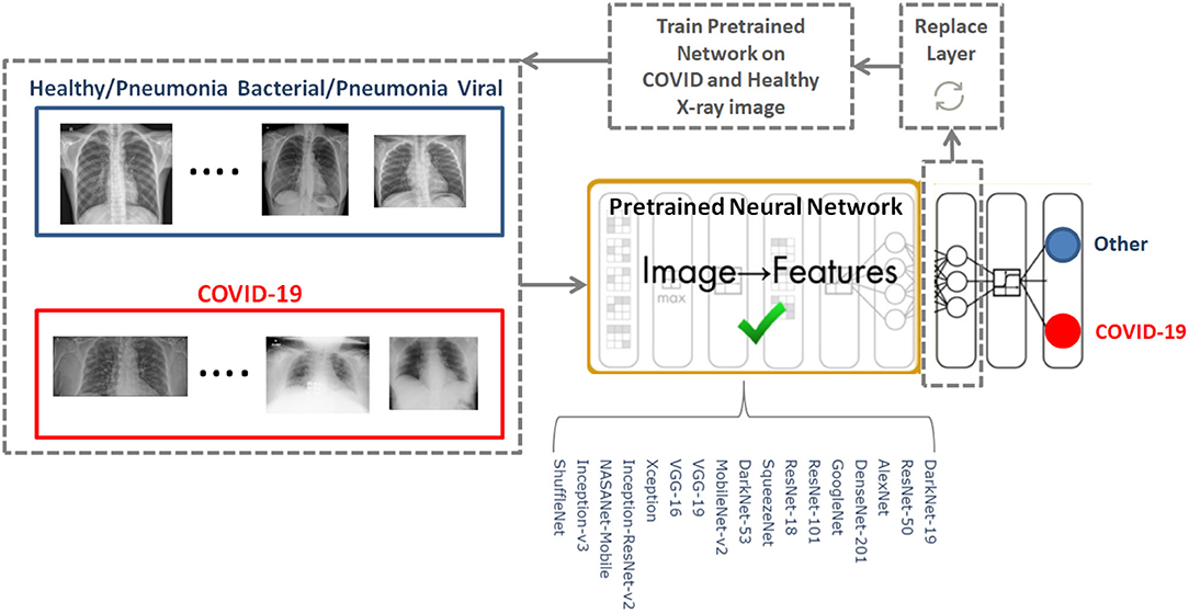 Frontiers The Performance Of Deep Neural Networks In Differentiating Chest X Rays Of Covid 19 Patients From Other Bacterial And Viral Pneumonias Medicine