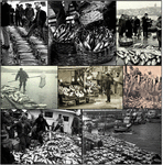 www.frontiersin.org