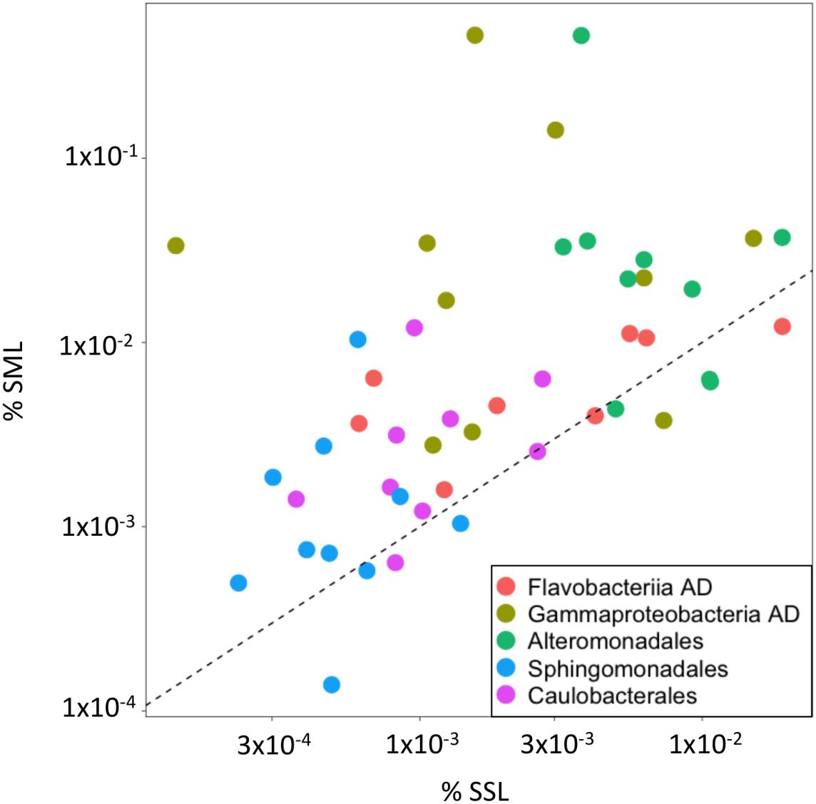 Exploring the Nanostructures Accessible to an Organic Surfactant  Atmospheric Aerosol Proxy