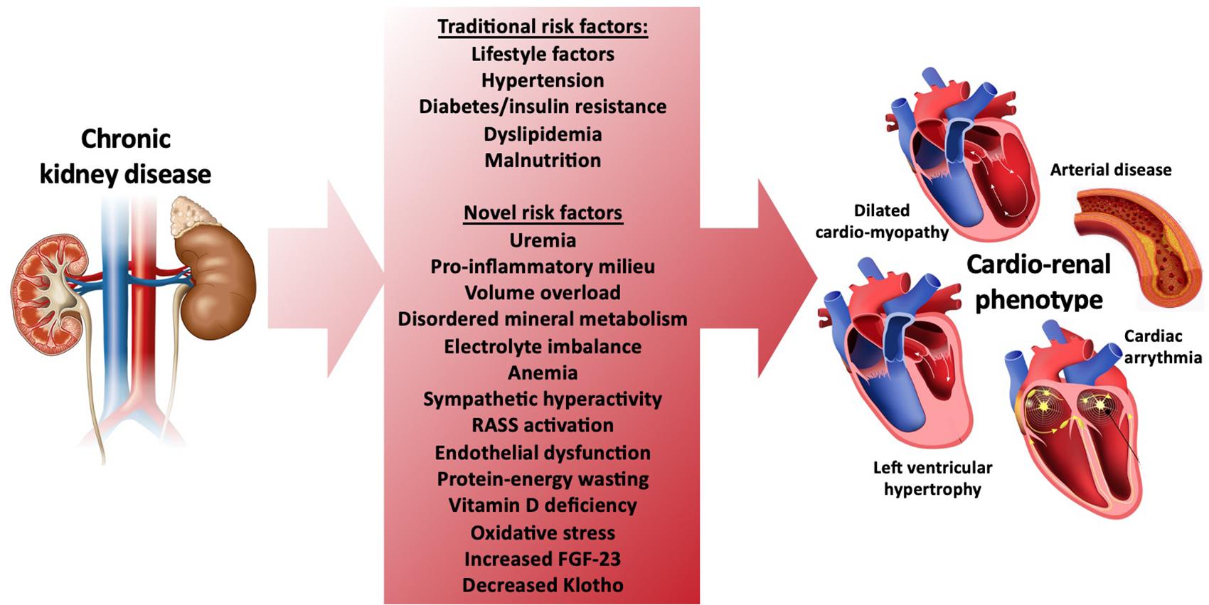 Frontiers  The utility of cardiopulmonary exercise testing in