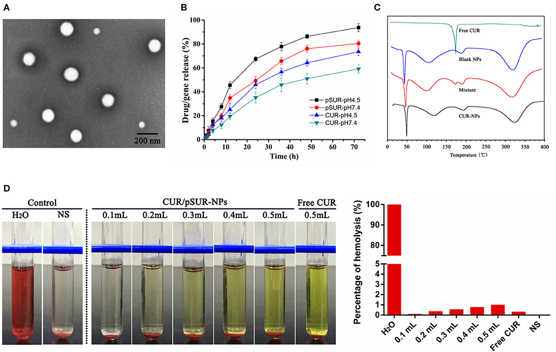 Density Functional Theory guided Drug Loading Strategy For
