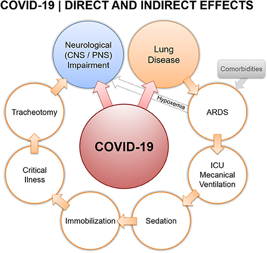 Effect of neuromuscular electrical stimulation combined with early  rehabilitation therapy on mechanically ventilated patients: a prospective  randomized controlled study, BMC Pulmonary Medicine