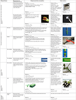 The Bio-Engineering Approach for Plant Investigations and Growing Robots. A Mini-Review