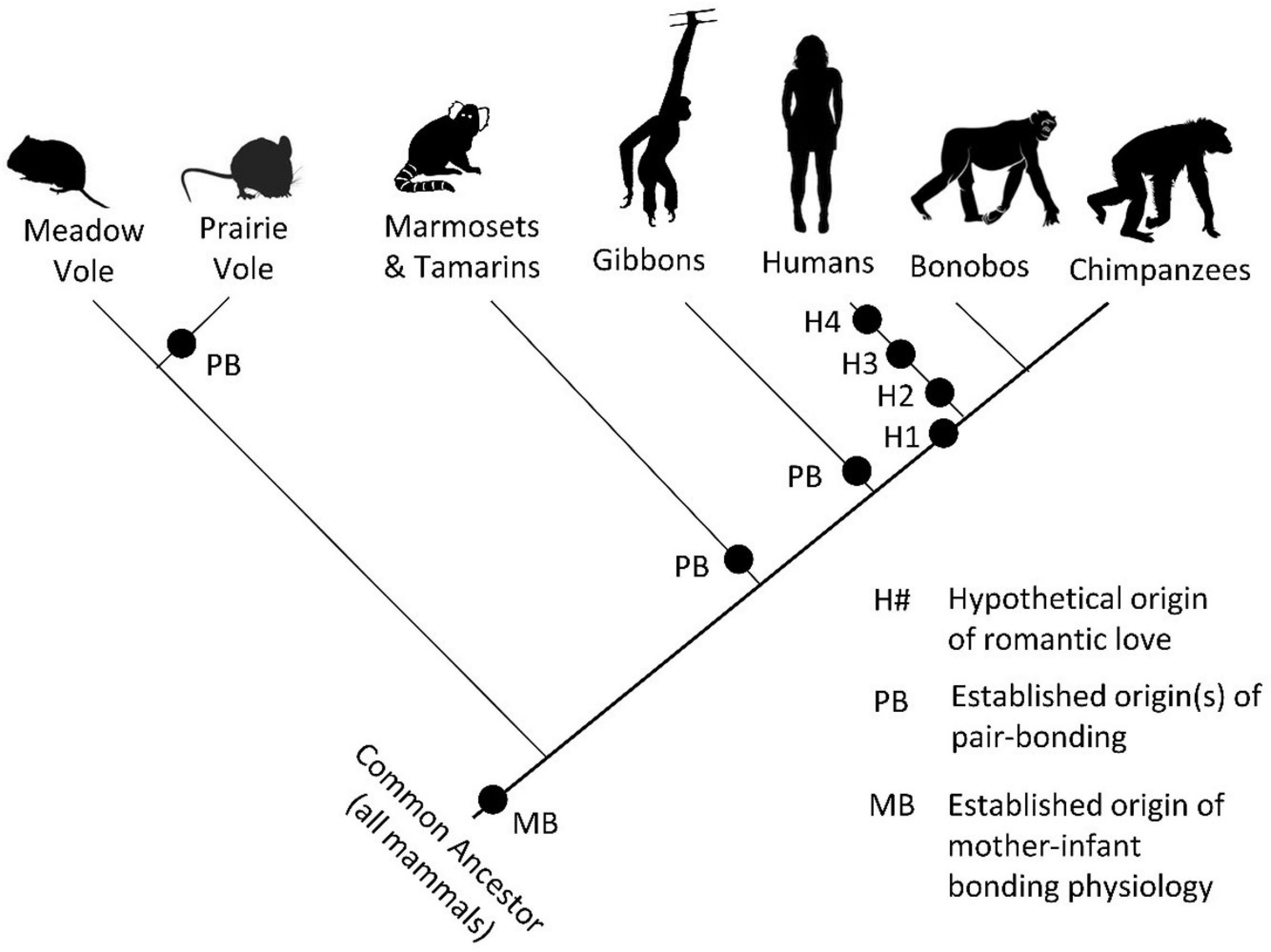 Peter Fox and the Cooperation Continuum