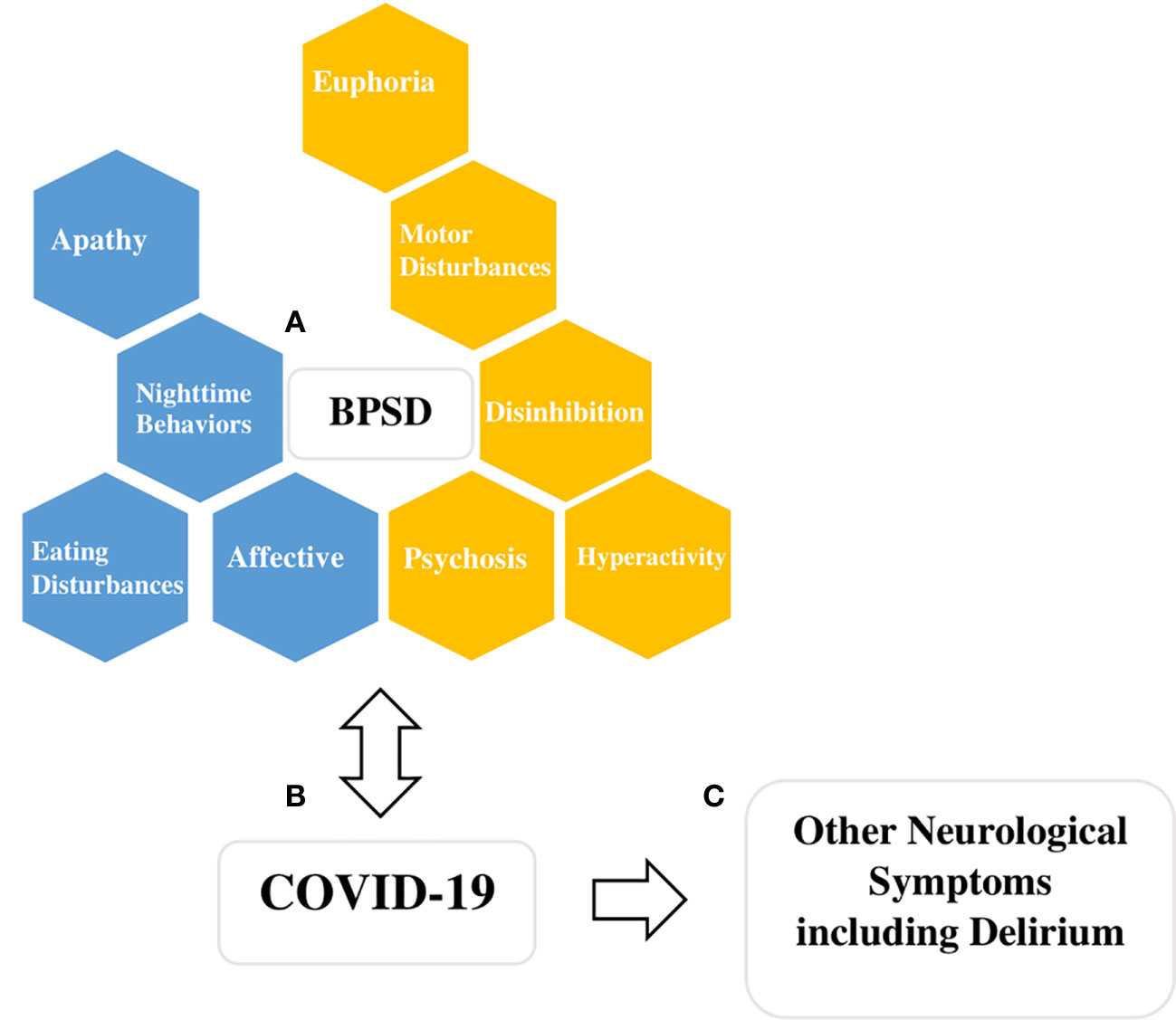 Frontiers  Behavioral and neuropsychiatric challenges across the