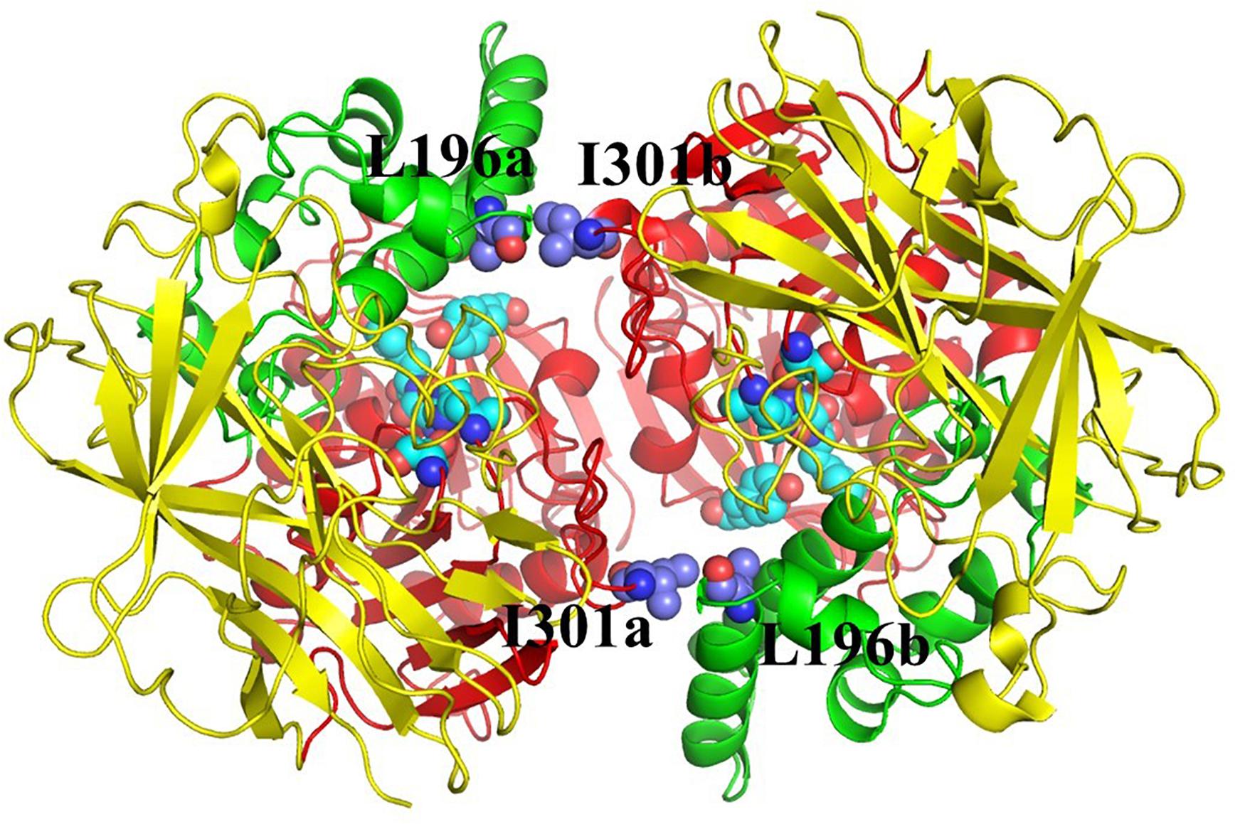 Scientists Figure Out How To Synthesize A Load Of Cocaine From