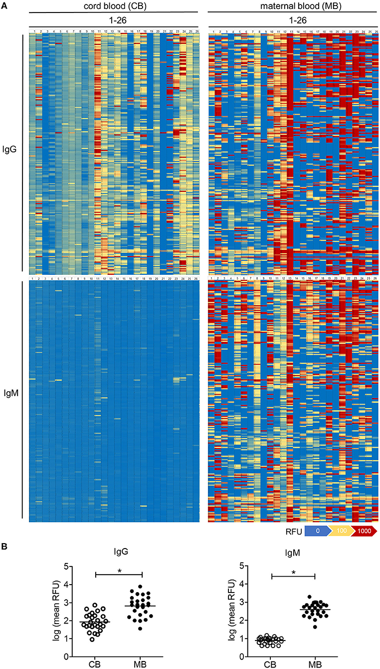 Frontiers  Limited Neonatal Carbohydrate-Specific Antibody