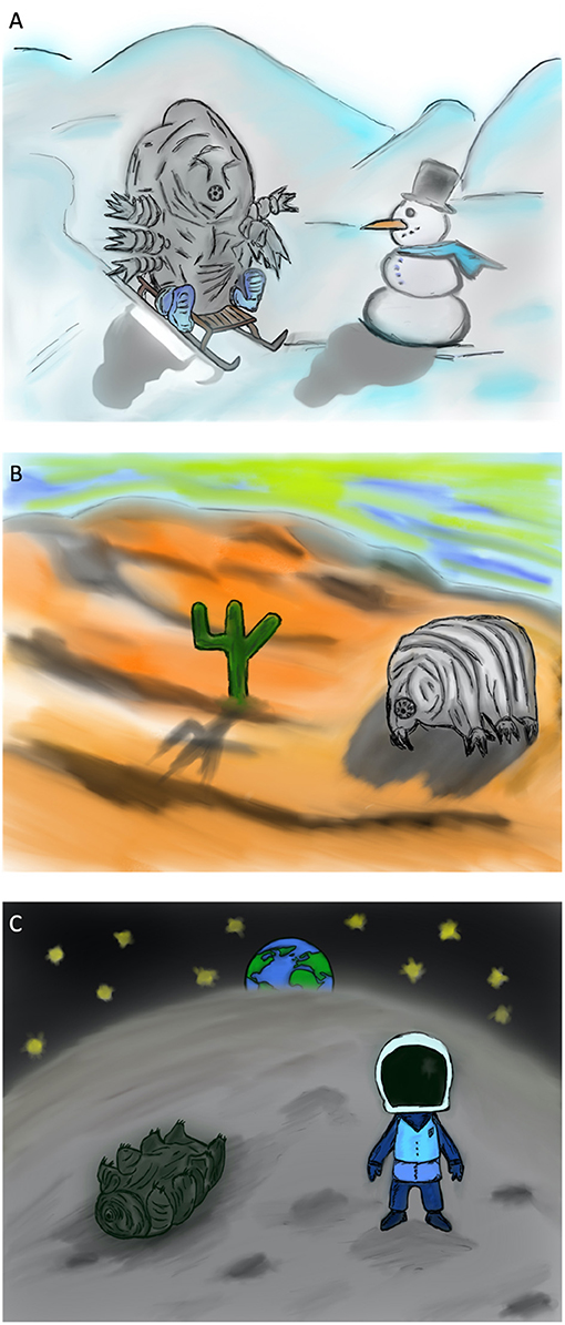Figure 2 - (A) Water bears can survive in extremely cold habitats, like the icy Himalaya mountains, and at temperatures as low as −150°C.