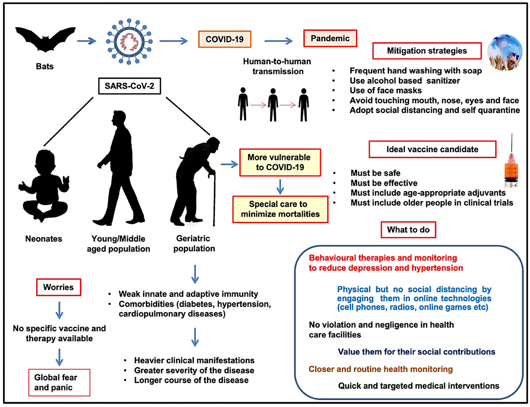 Geriatrics, Gerontology and Aging