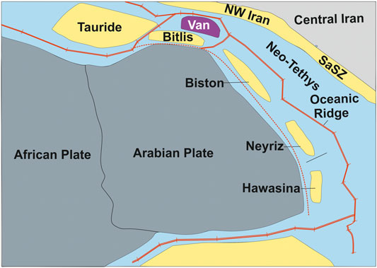 www.frontiersin.org
