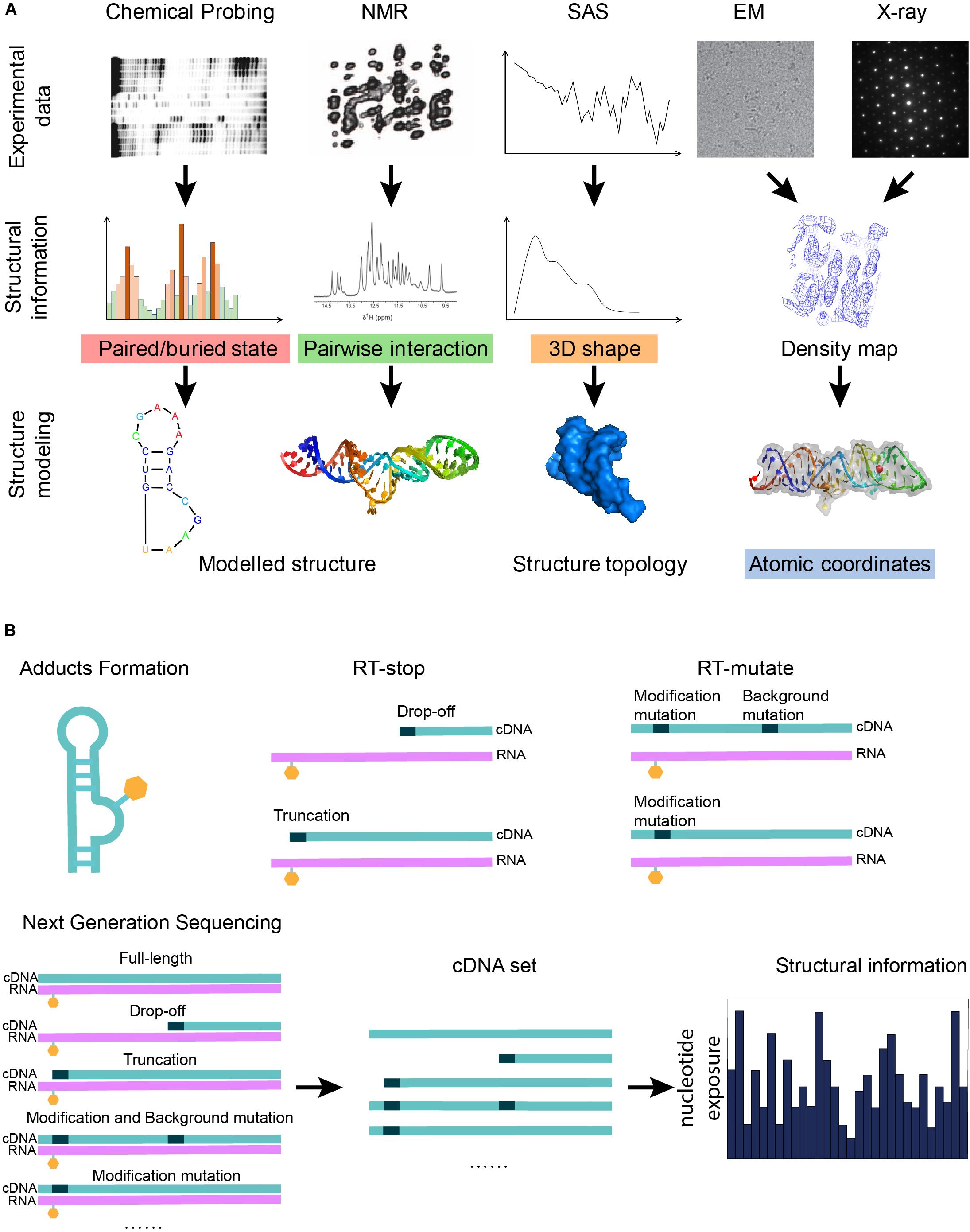 Insights into protein function through large-scale computational analysis  of sequence and structure: Trends in Biotechnology