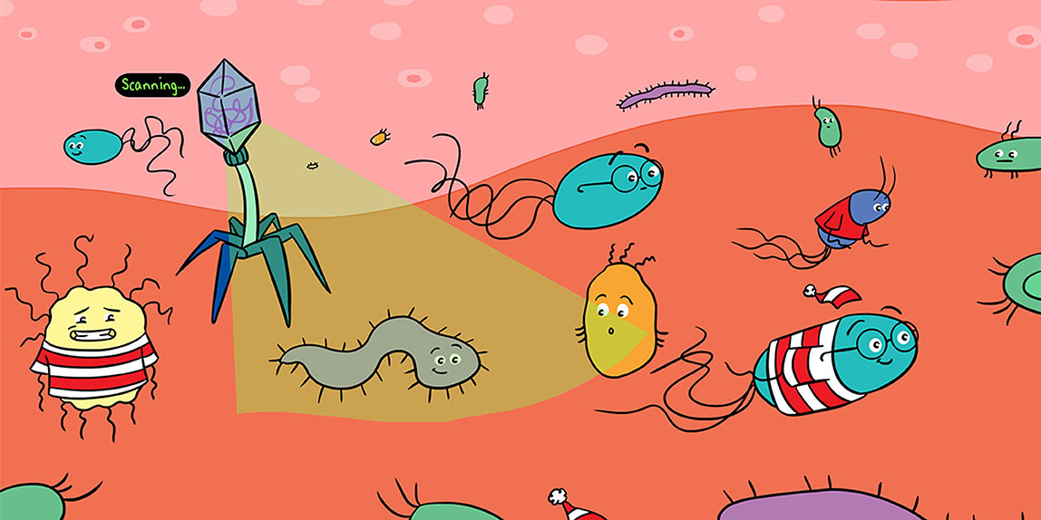 antibiotics killing bacteria cartoon