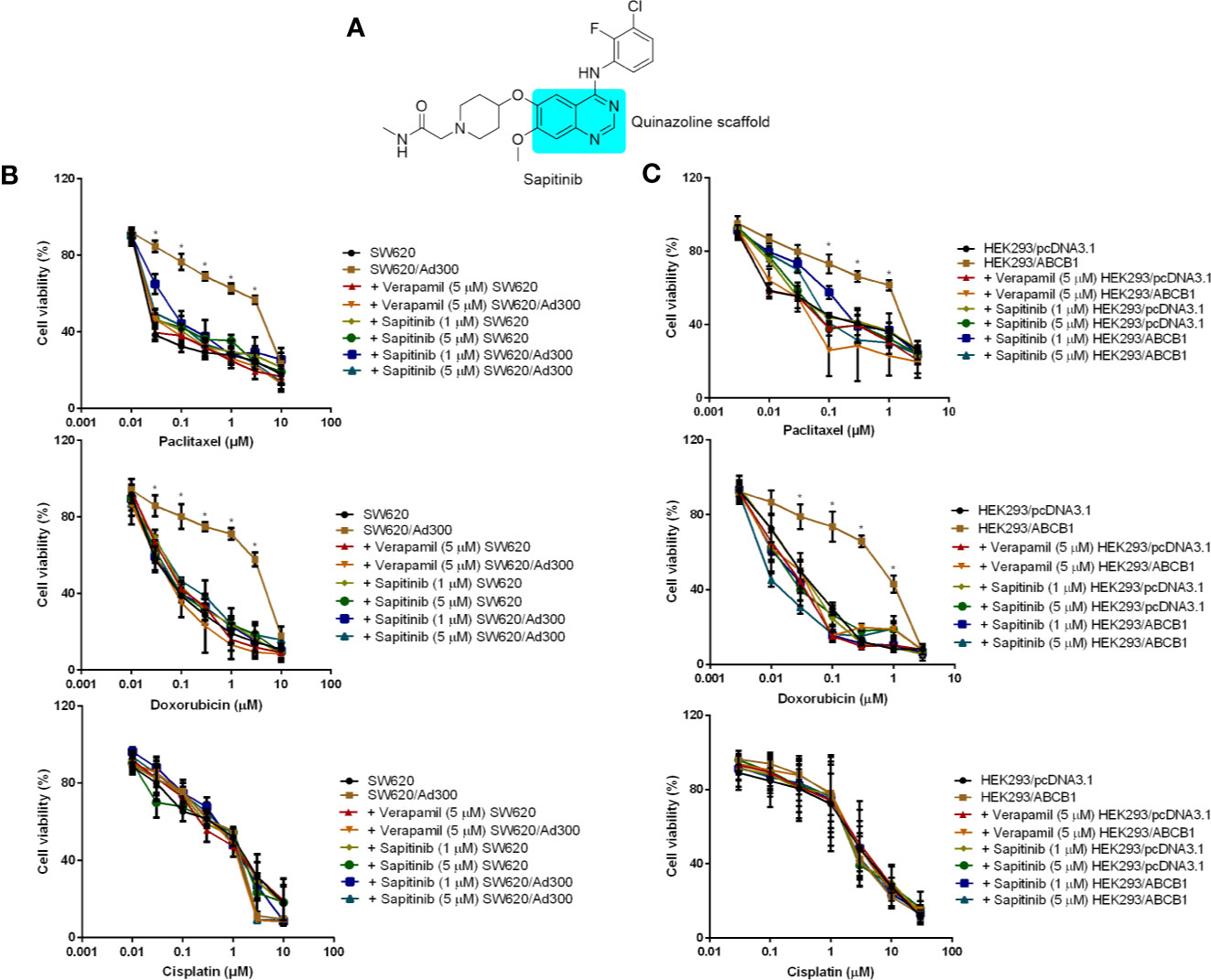 The potential mechanism of SCS-induced inhibition of 