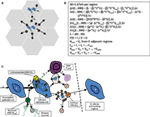 www.frontiersin.org