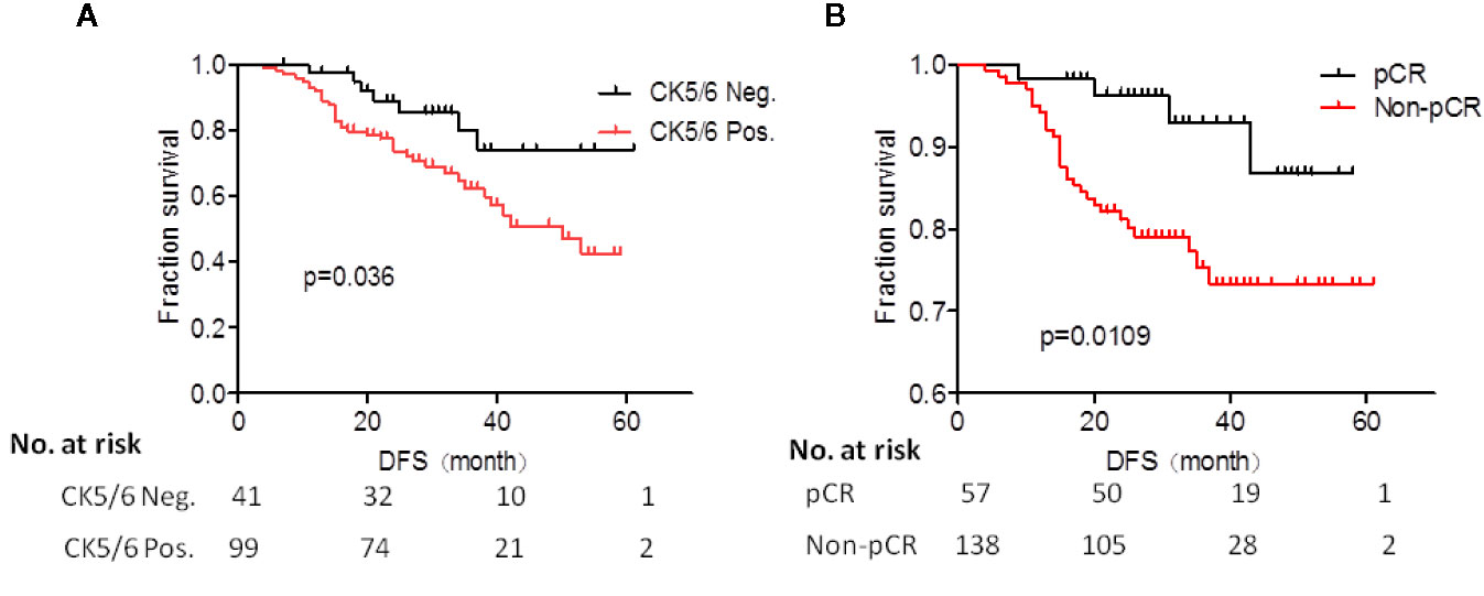 Frontiers Analysis Of Ck5 6 And Egfr And Its Effect On Prognosis Of Triple Negative Breast Cancer Oncology