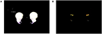 www.frontiersin.org