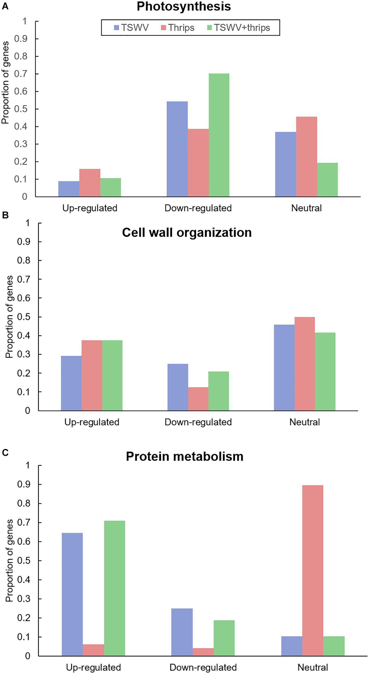 Frontiers  Tomato Spotted Wilt Virus Benefits Its Thrips Vector by  Modulating Metabolic and Plant Defense Pathways in Tomato