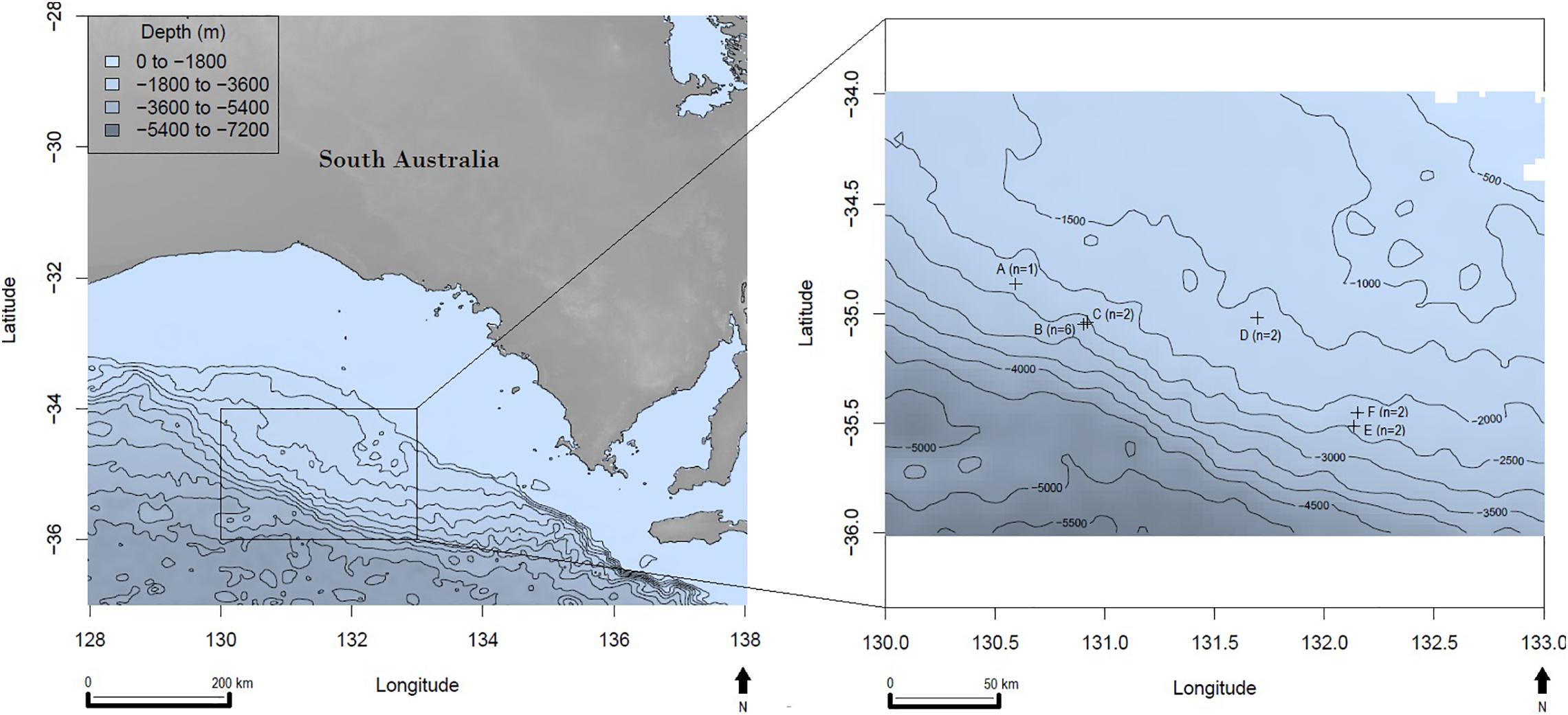 Frontiers Microplastic Pollution In Deep Sea Sediments From The Great Australian Bight Marine Science