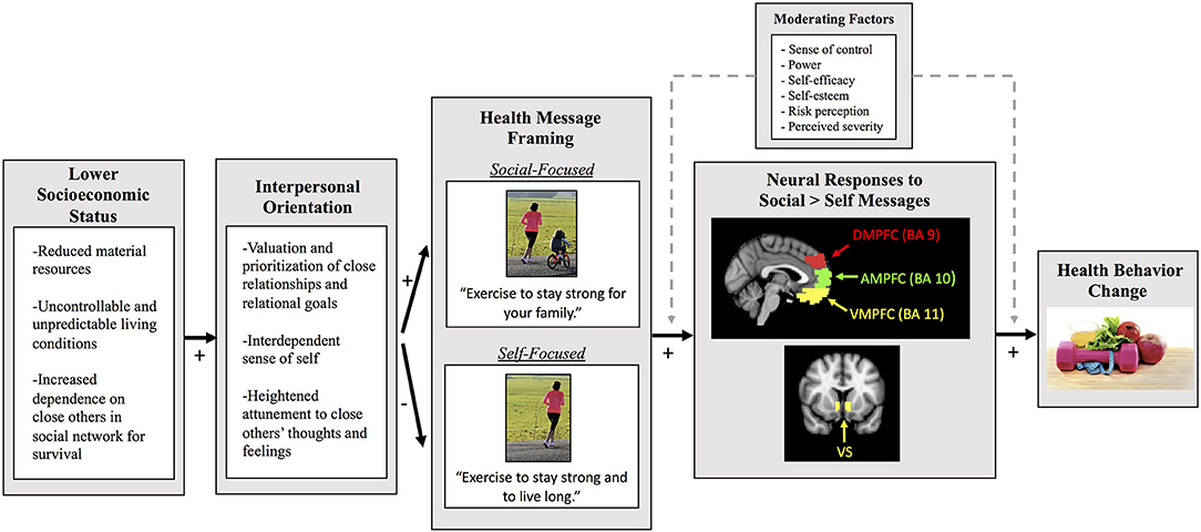 Frontiers Harnessing Neuroimaging To Reduce Socioeconomic Disparities In Chronic Disease A Conceptual Framework For Improving Health Messaging Human Neuroscience