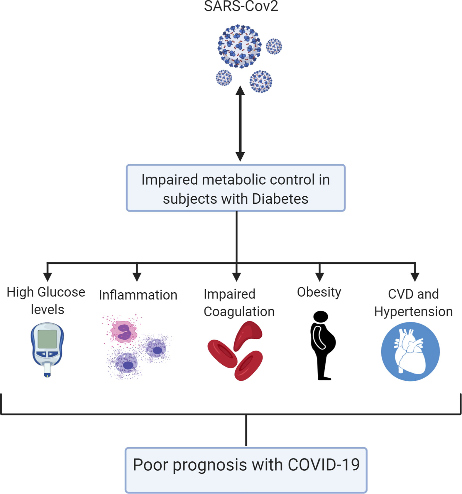 covid 19 and diabetes mellitus from pathophysiology to clinical management