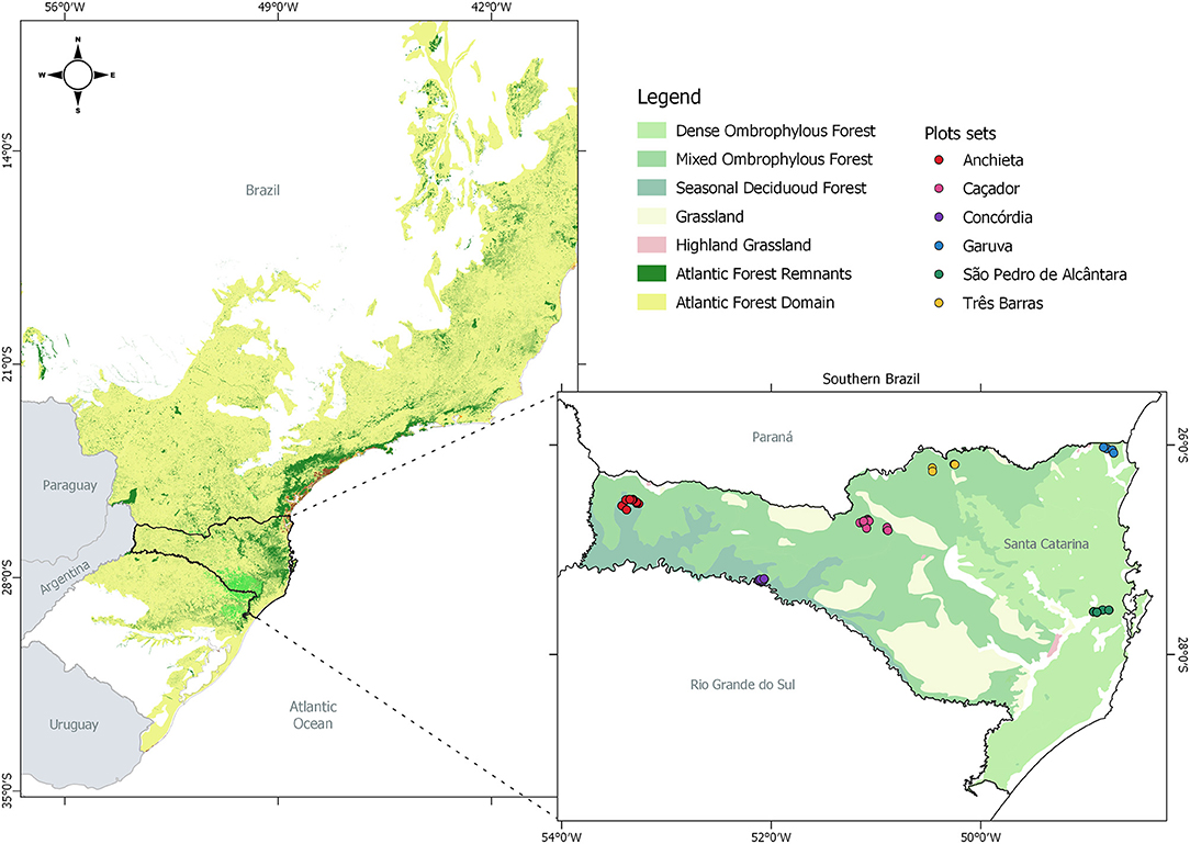 Analysis of 13,000 plant species in the Atlantic Forest shows