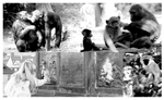 www.frontiersin.org