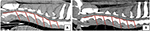 www.frontiersin.org