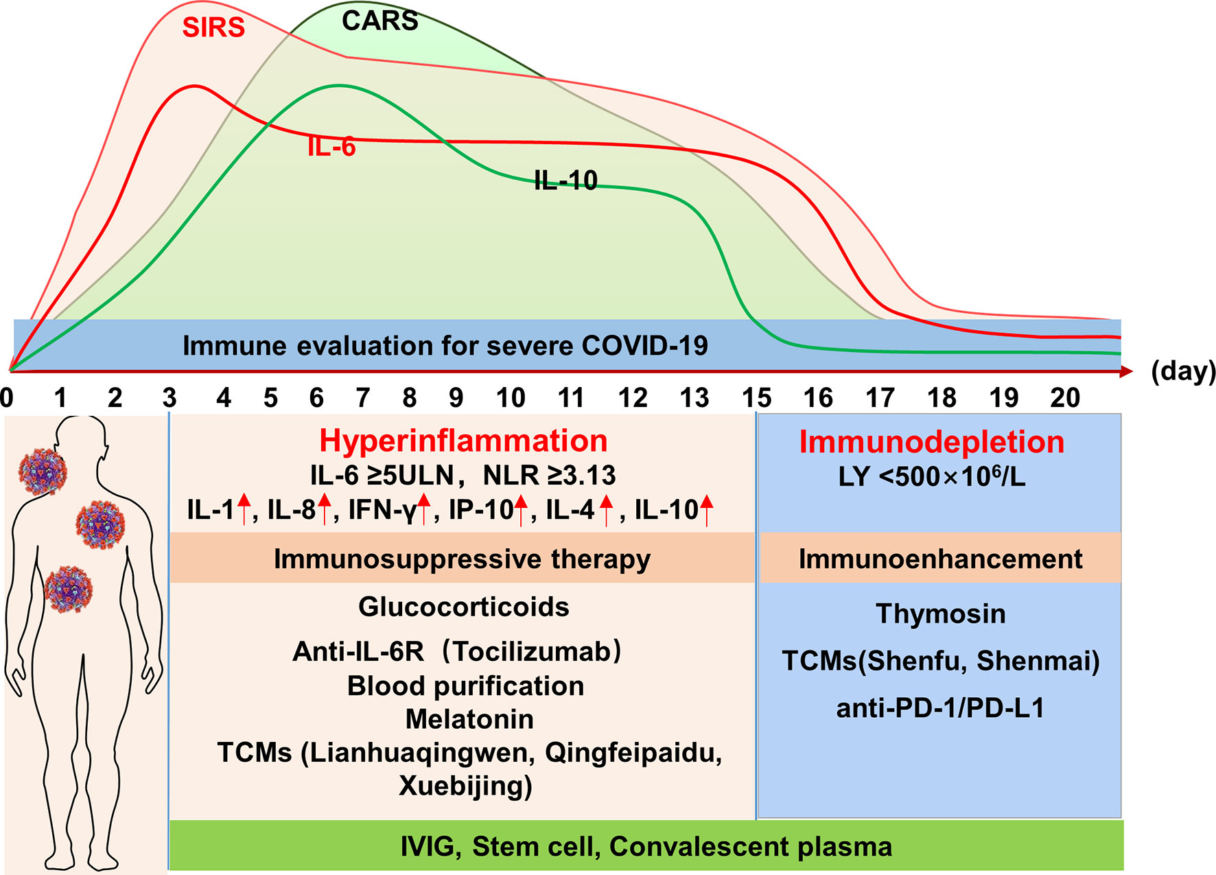 Symptoms of covid-19, day by day