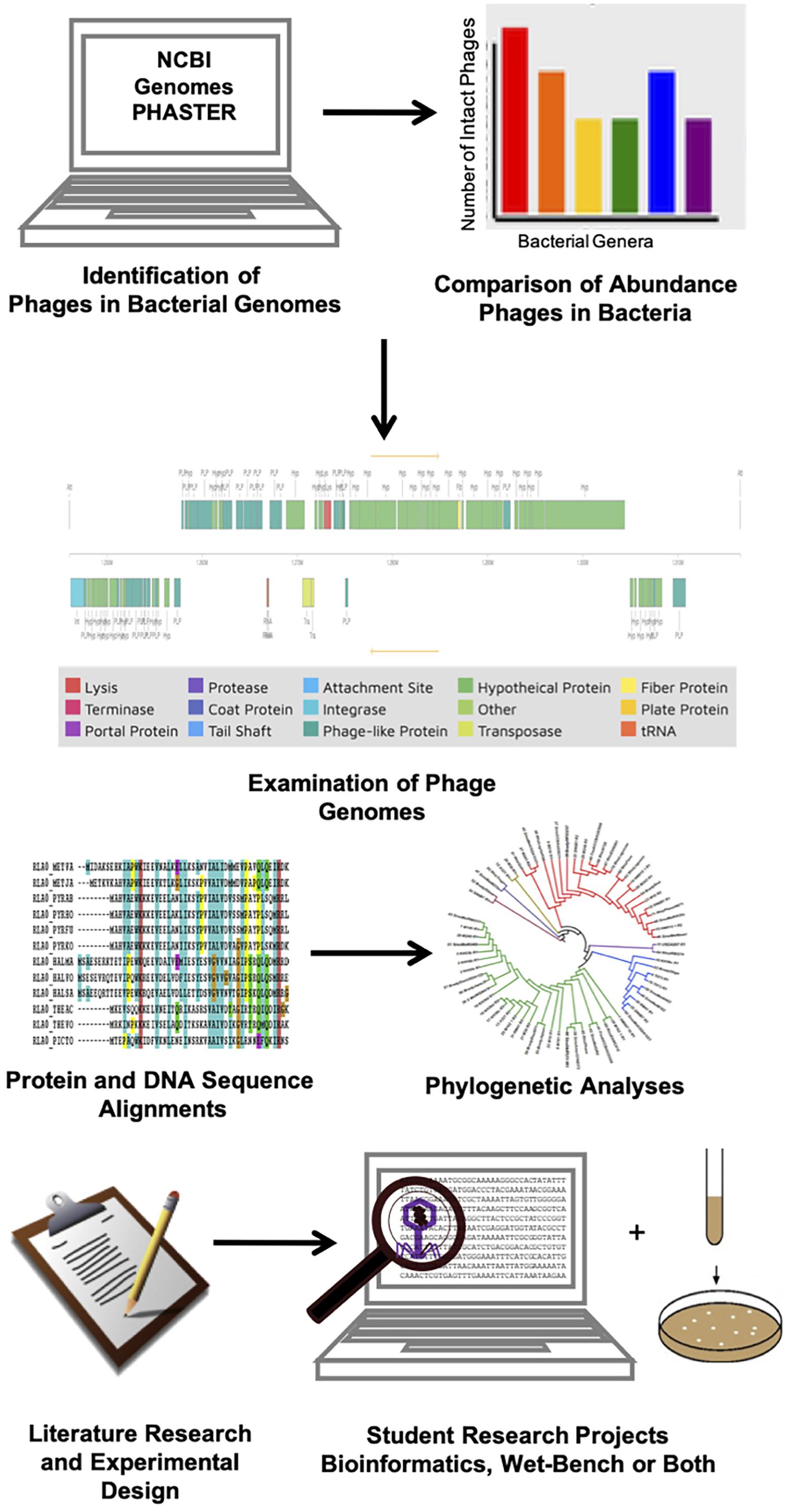 bioinformatics research project ideas