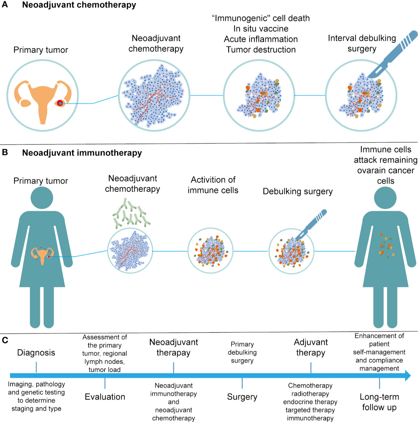 Frontiers Immunotherapy For Ovarian Cancer Adjuvant Combination