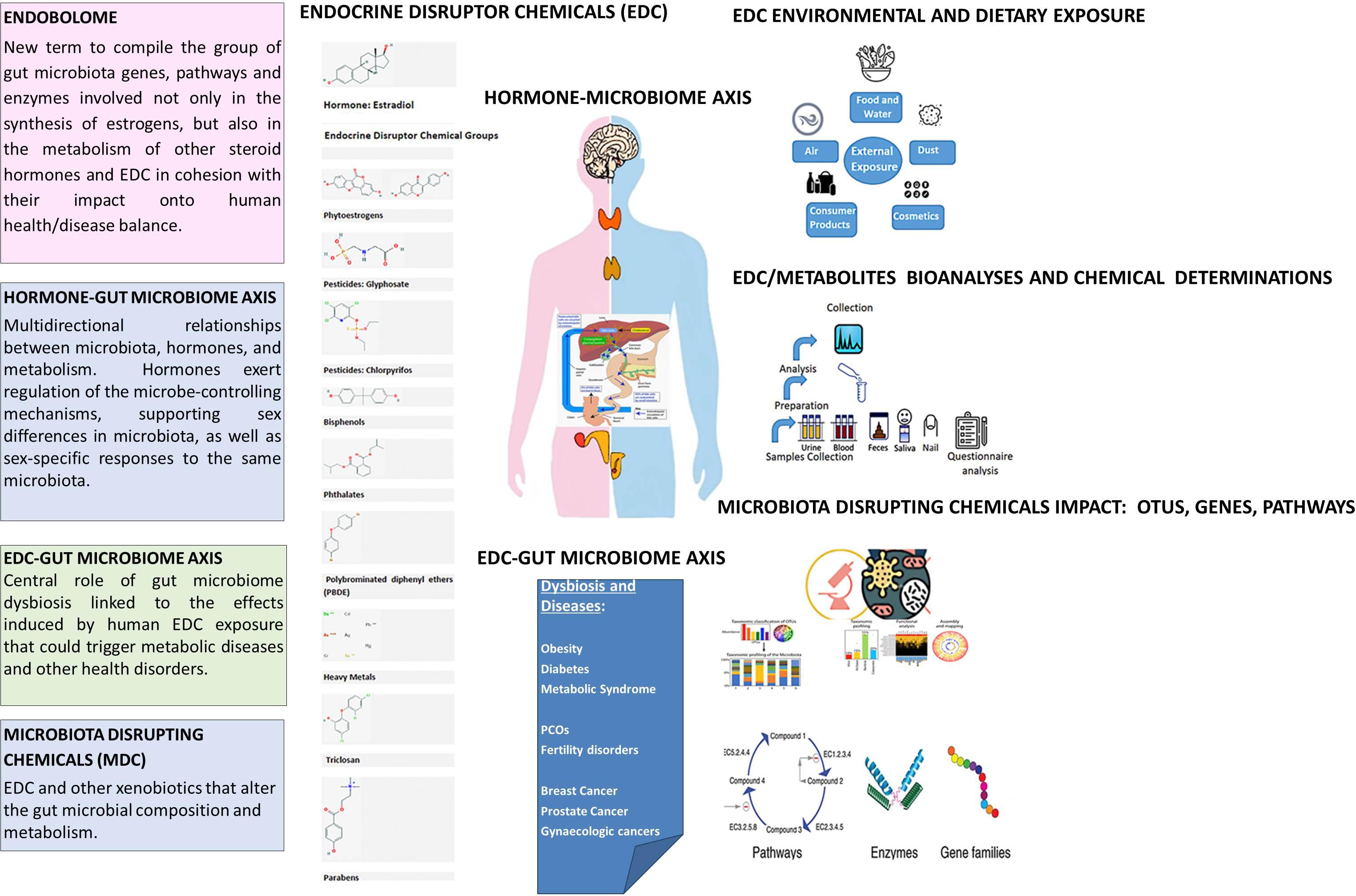 Frontiers  Effects of Oral Glucose-Lowering Agents on Gut Microbiota and  Microbial Metabolites