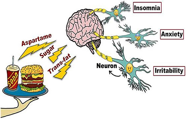 Healthy Meal Happy Brain How Diet Affects Brain Functioning 