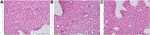 www.frontiersin.org