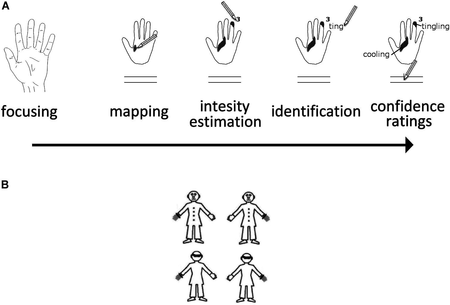 Frontiers The brain-body disconnect: A somatic sensory basis for