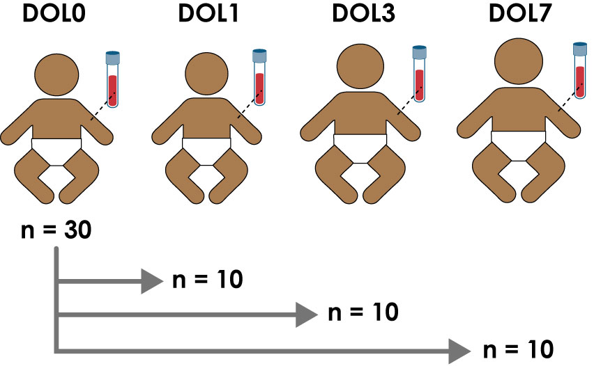 Frontiers  Limited Neonatal Carbohydrate-Specific Antibody