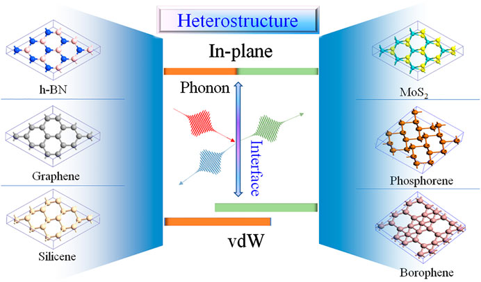 Machine Learning Study of the Magnetic Ordering in 2D Materials