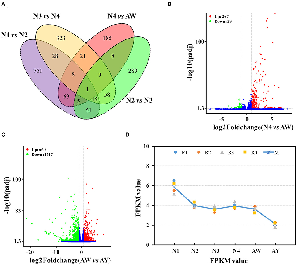 Frontiers | Transcriptomic Profiling of Various